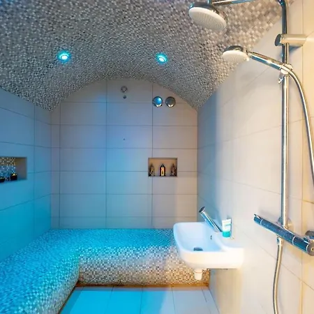 Luxe Piscine Vue 别墅 *